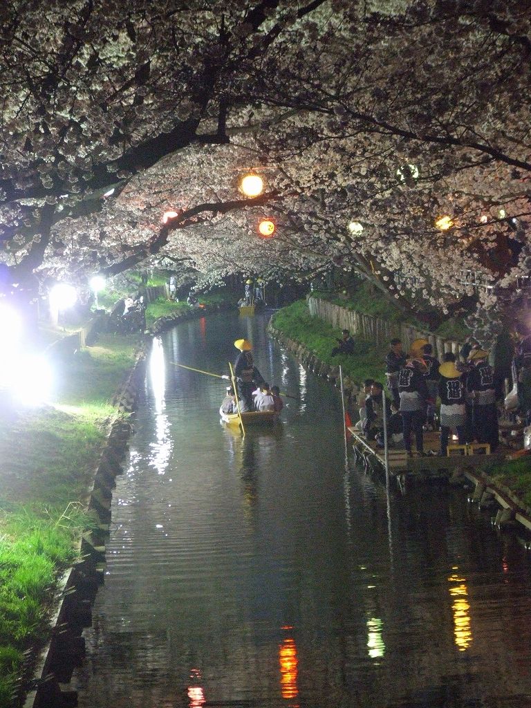 Àî±Û¡¦½Õ¤Î¿·²Ï´ßÀî¤Î½®Í·¤Ó¡Ê2012¡Ë