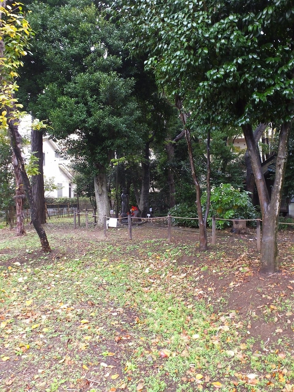 s-DSCF1067