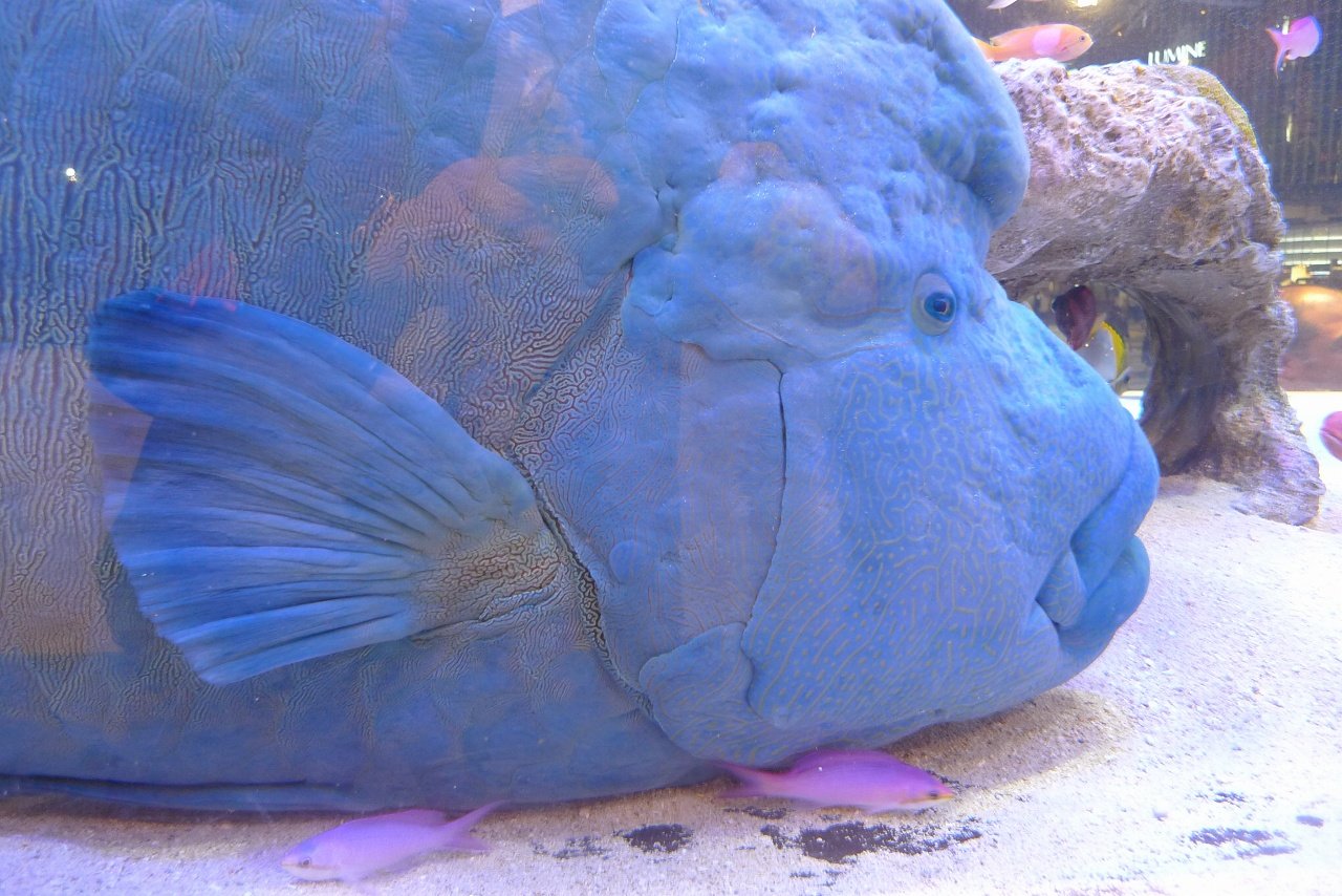 s-P1550488