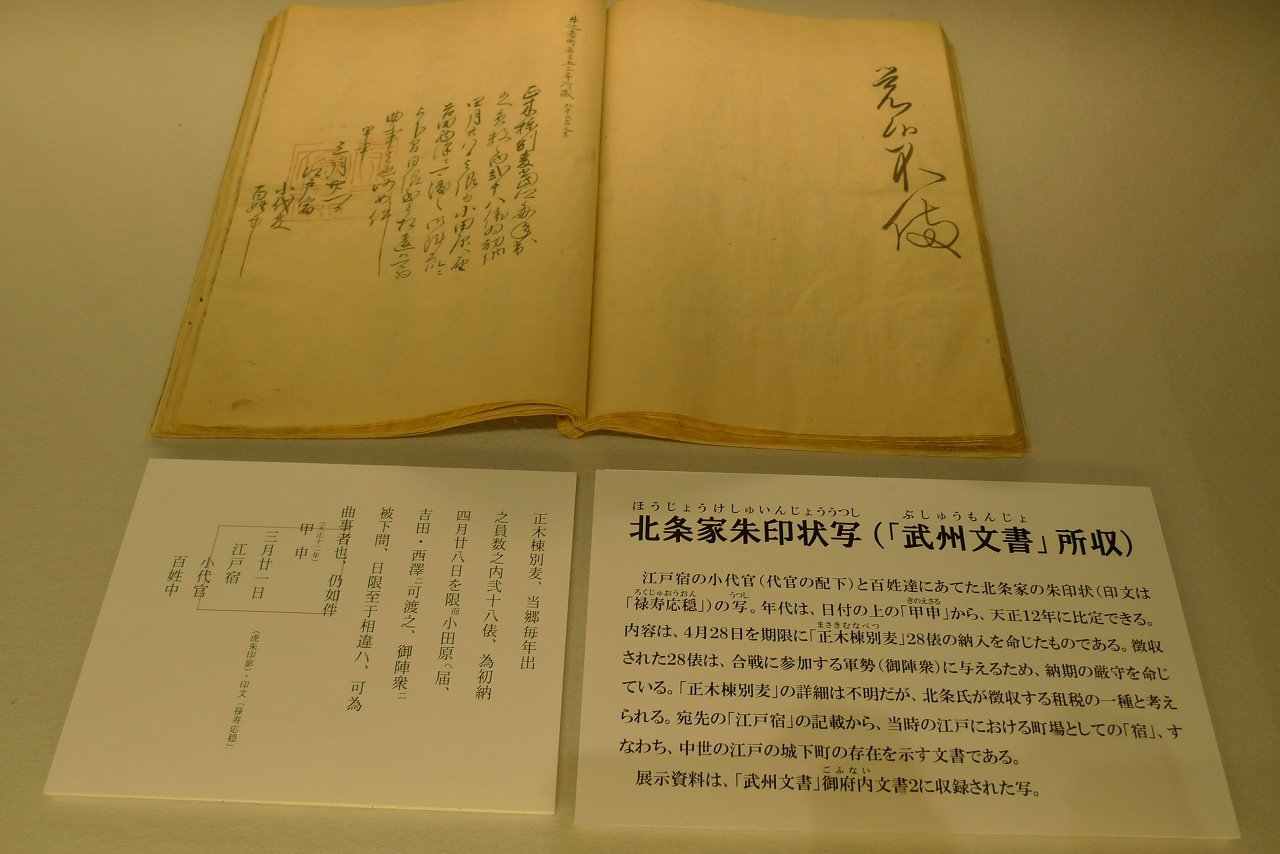 s-P1460896