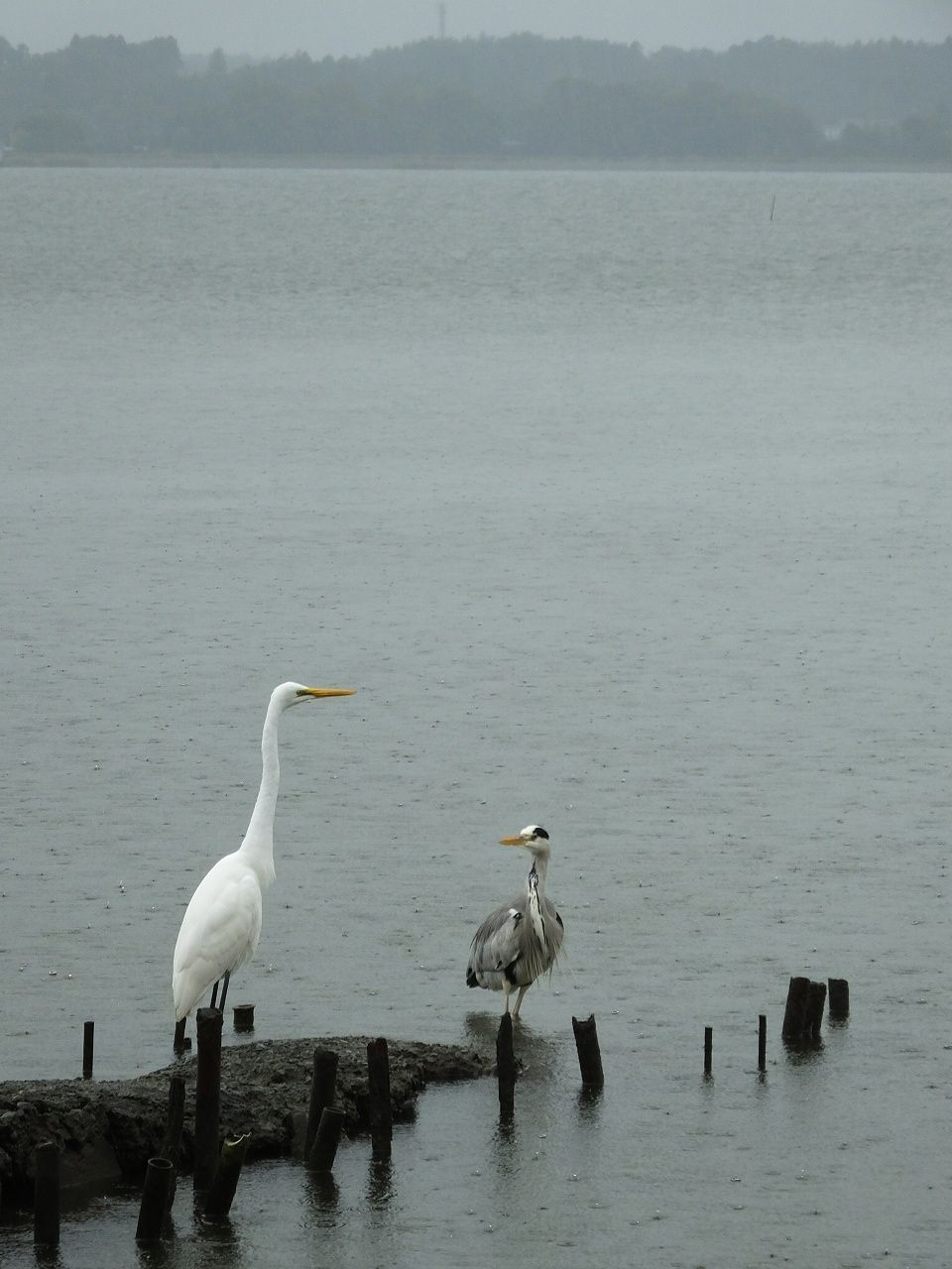 s-DSCF5579
