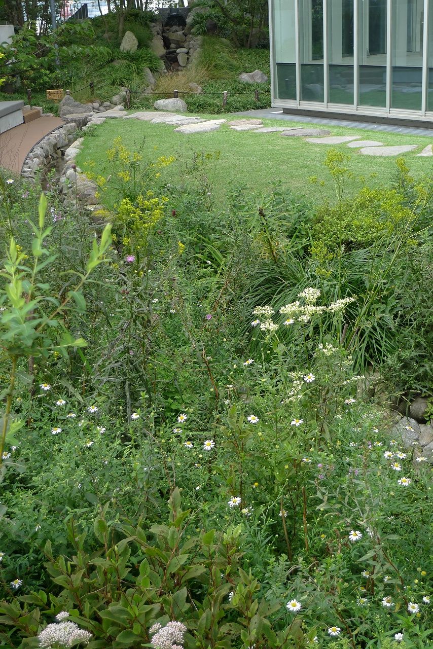 s-P1240349