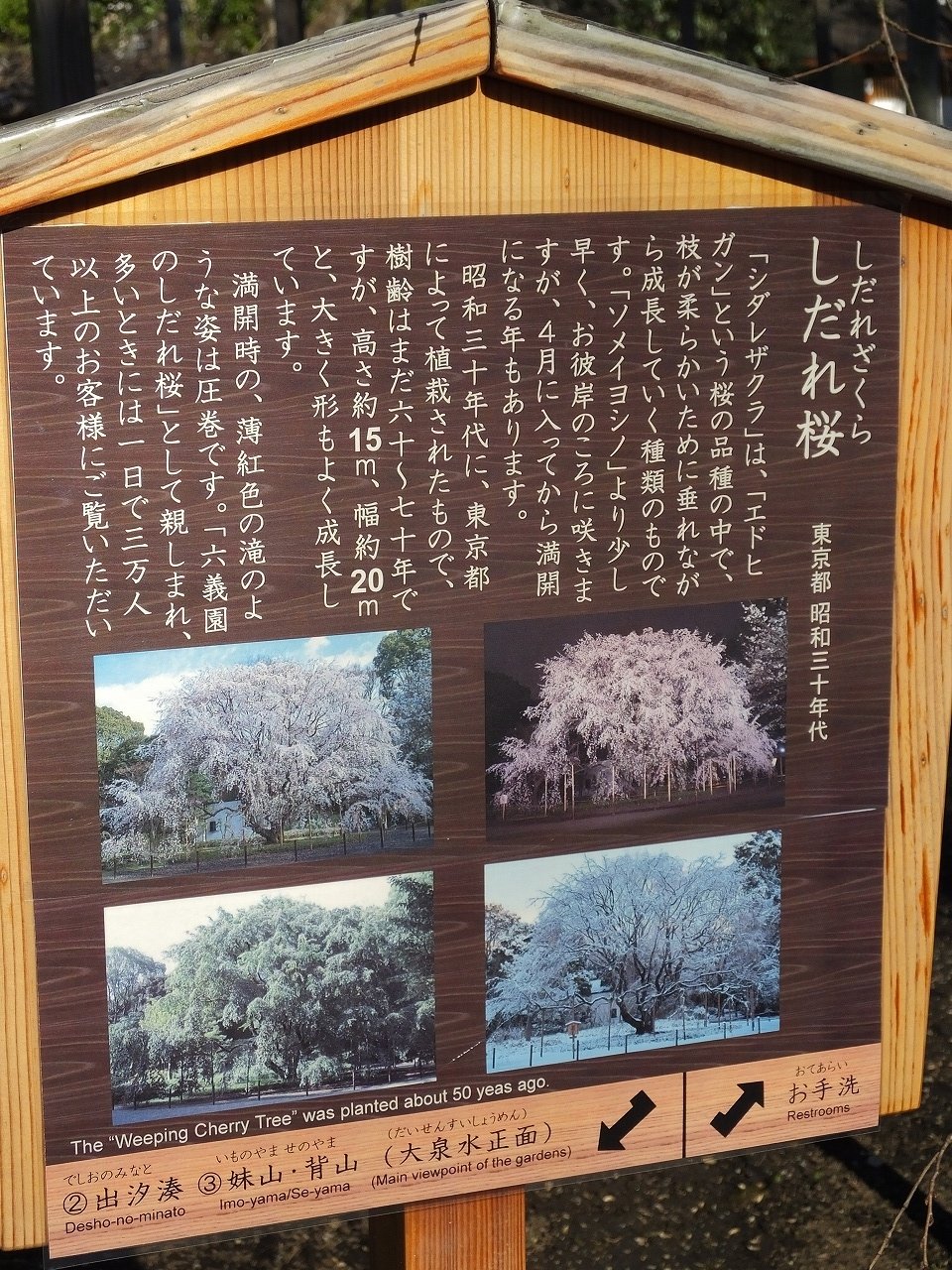 s-DSCF0740