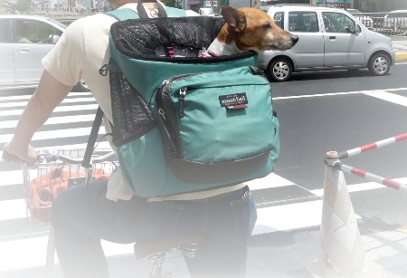 かわいいペットの写真 犬 リュック Gp01