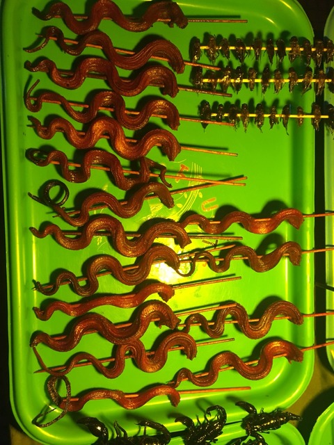 S__172933127
