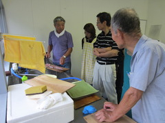kamoaosa 961