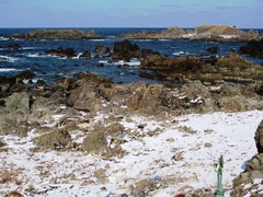 kannnonn 009