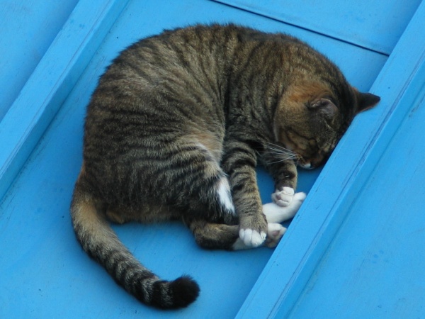 nap.jpg