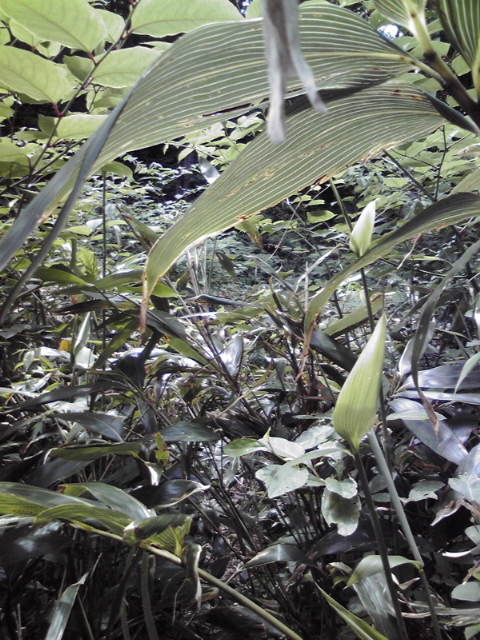 20120630102811