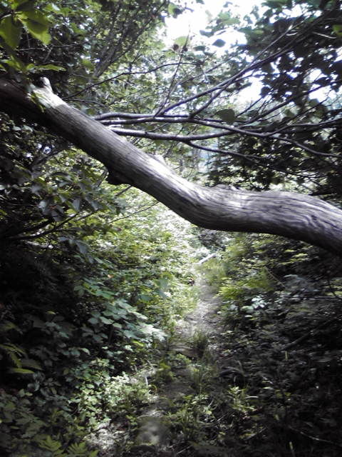 20120630092817