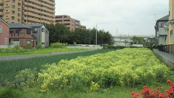 NEC_1284