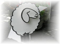 020691e8.jpg