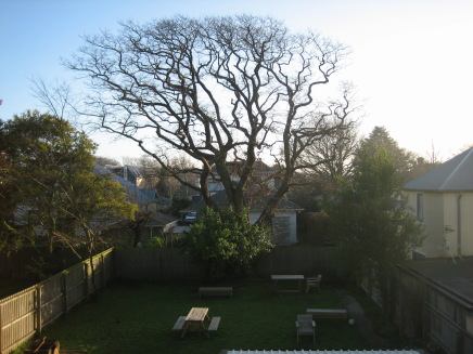 8b158757.jpg