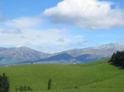 b0081c99.jpg