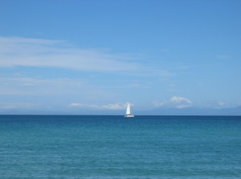 d7c6b20e.jpg