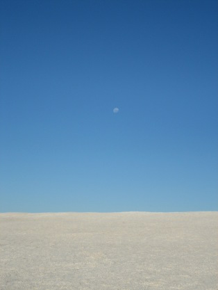 04103771.jpg