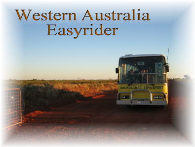 Easyrider21