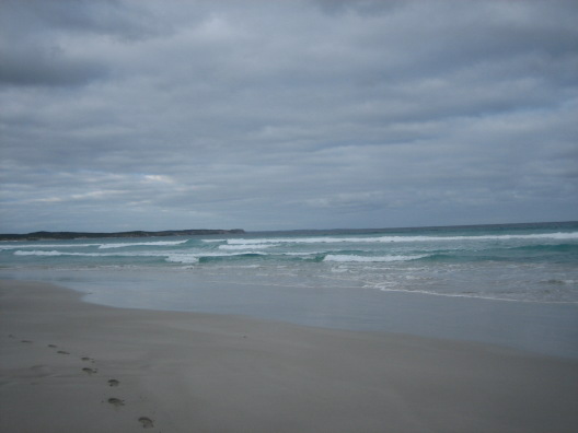 0a751e98.jpg