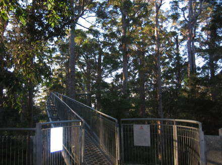 2917e445.jpg