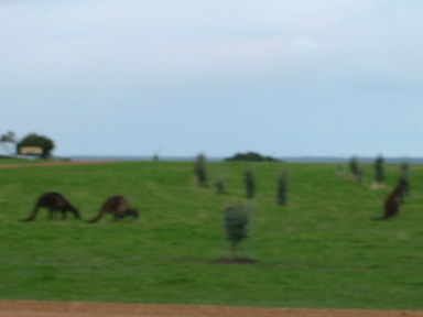 40578e45.jpg