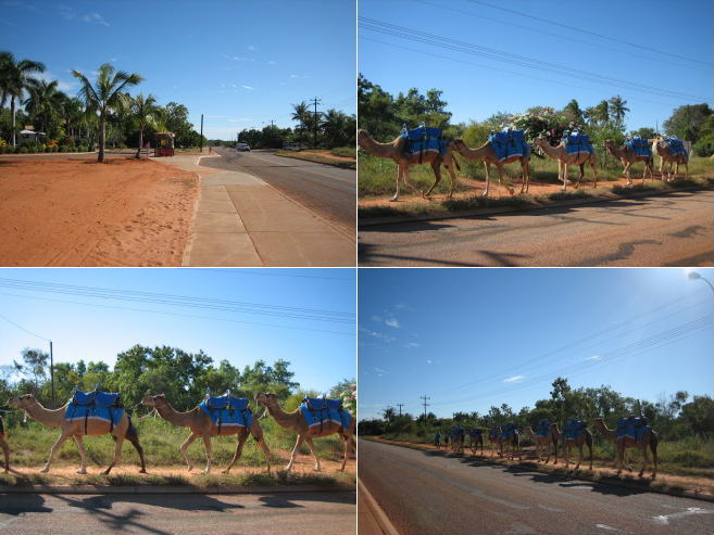 4190439b.jpg