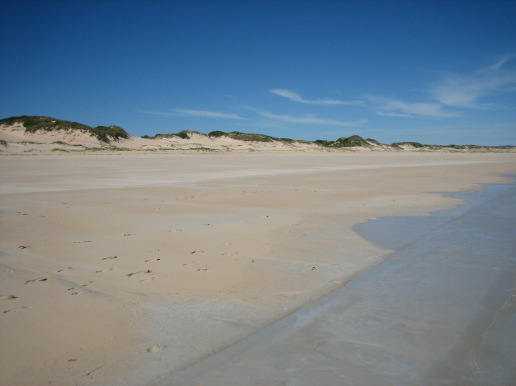 6c889c06.jpg
