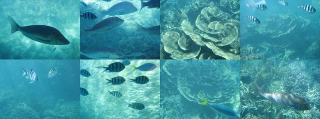 6e06a30d.jpg