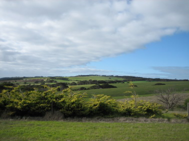 72526e0d.jpg