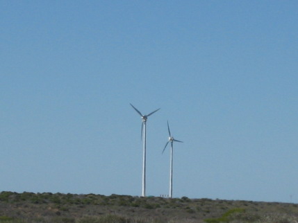 74475c10.jpg