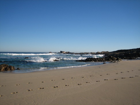 b4a34241.jpg
