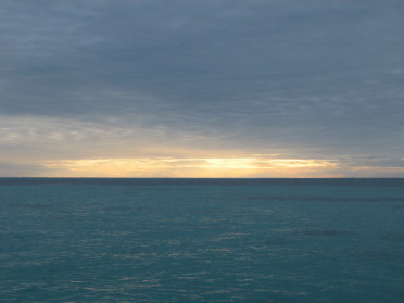 d441663f.jpg