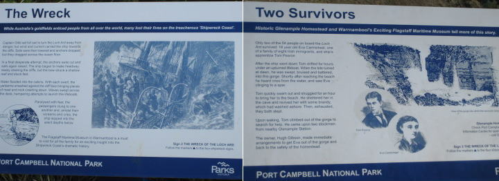 Survivors1
