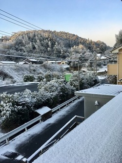 IMG_3293