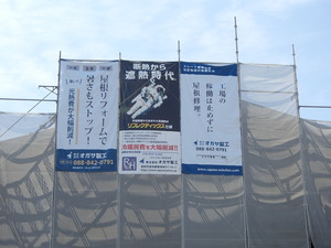 P5010054