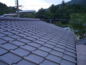 IMG_0063