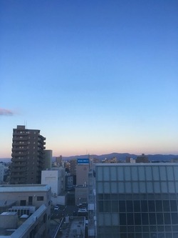 IMG_2550