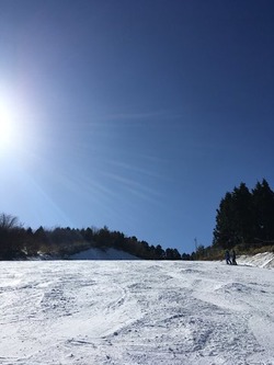 IMG_2925