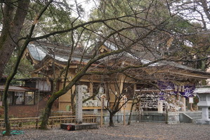 写真 2018-01-05 9 34 56
