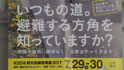 写真 2017-07-21 16 11 37