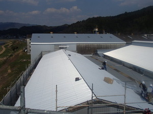P3280008