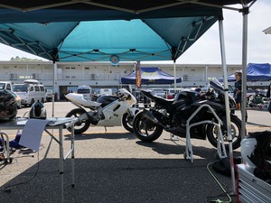 IMG_4520