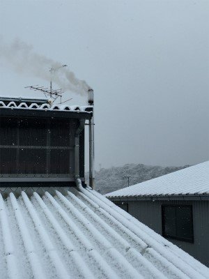 IMG_3790