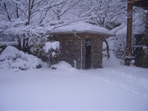 CIMG0367