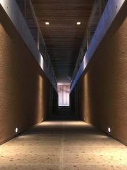 IMG_3553