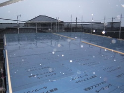 DSCF3375