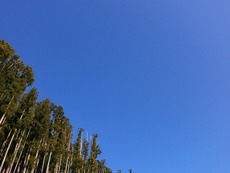 PC130012