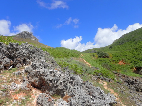 P9062729