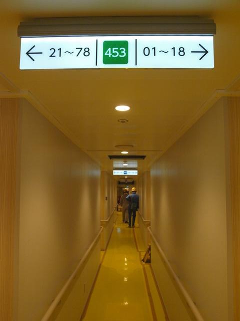 P5128841