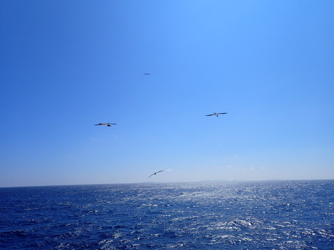 P8202607