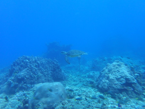 P9132892